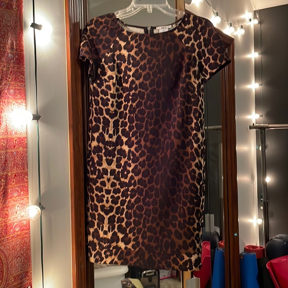 Bar IIII Leopard Print Shift Dress Size S